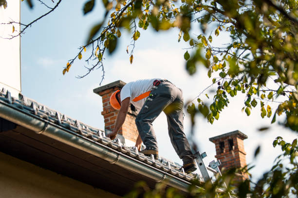 Best Shingle Roofing Installation  in Lla Lla East, WA