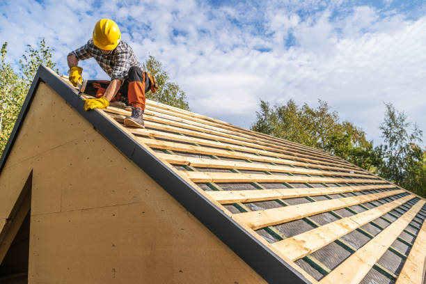 Best Roof Gutter Cleaning  in Lla Lla East, WA